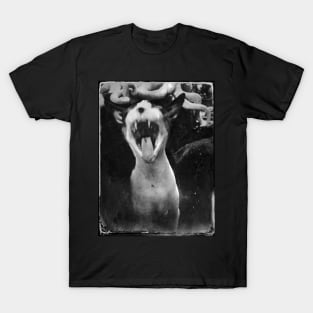 the scream T-Shirt